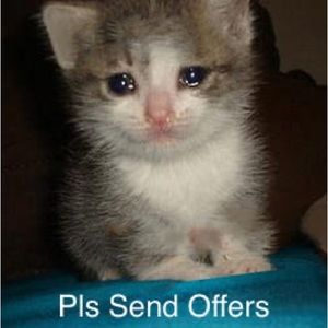 I really want to get this stuff gone!